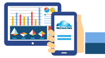 bizcloud app hr software philippines multiple reports