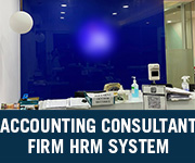 accounting-consultant-firm-hrm-system-03012023